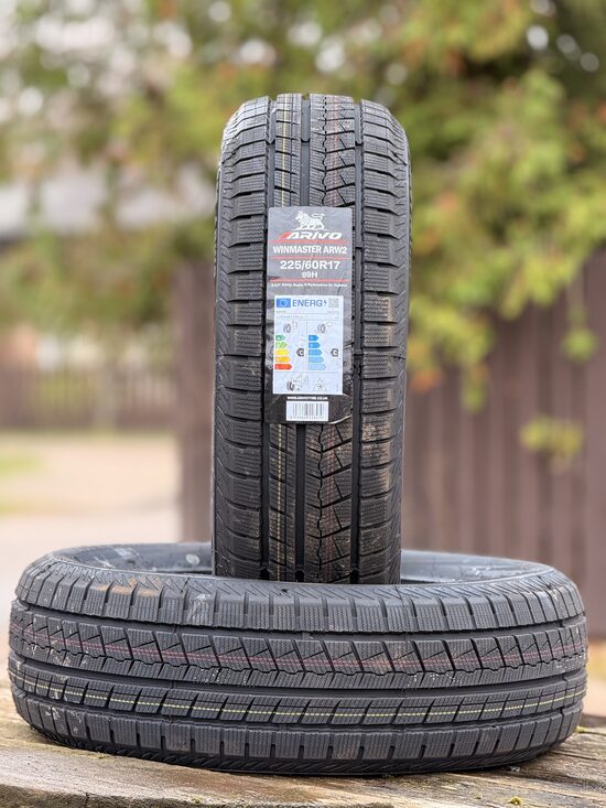 225/60 R17 ARIVO WINMASTER ARW2 99H