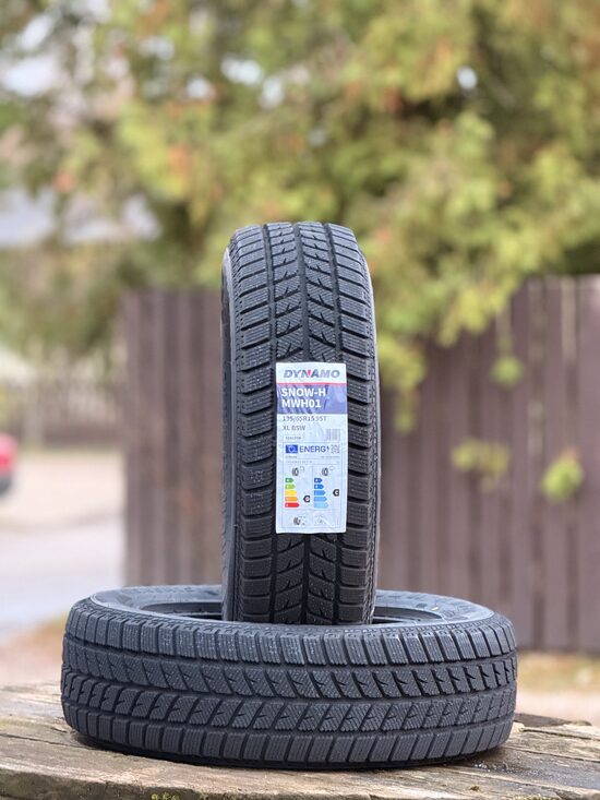 195/65 R15 DYNAMO SNOW-H MWH01