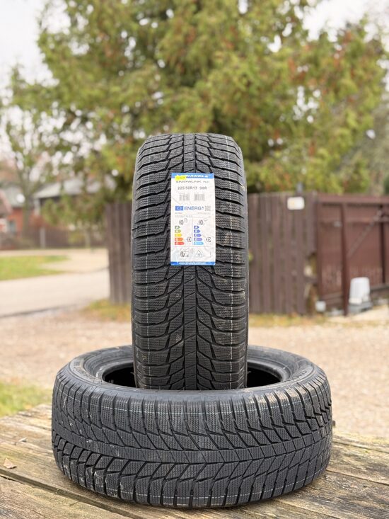 225/50 R17 TRIANGLE SNIWLINK PL01 98R