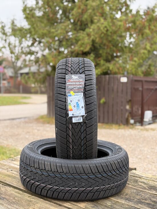 205/55 R16 ARIVO WINMASTER PROX ARW3