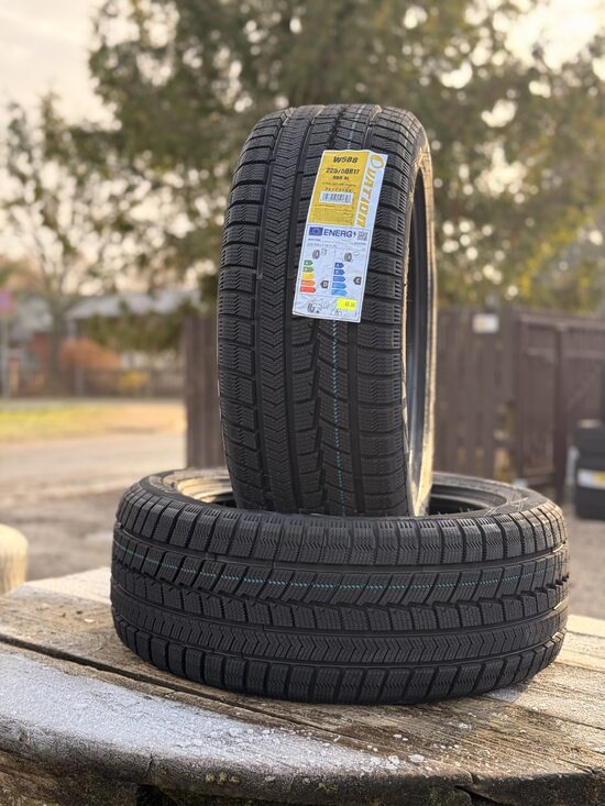 225/50 R17 OVATION W588